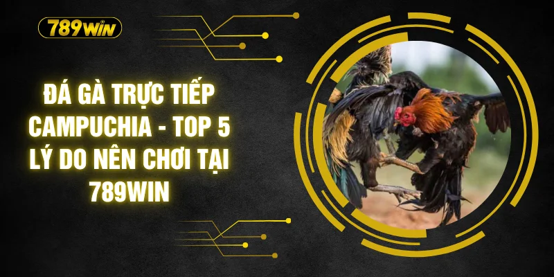 Đá Gà Trực Tiếp Campuchia - Top 5 Lý Do Nên Chơi Tại 789WIN